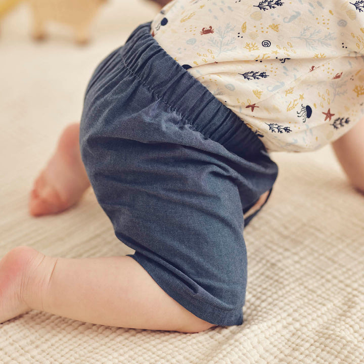 müsli CHAMBRAY shorts Bukser Chambray 563018901