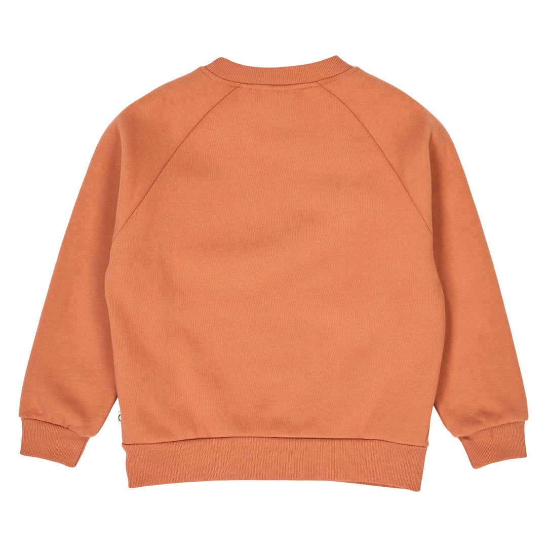 müsli RADIO sweattrøje Langærmet bluse Clay 016142901