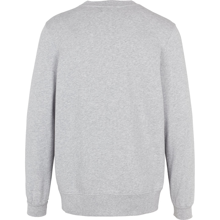 Conservandum Sweattrøje Langærmet bluse Pale greymarl 207670000