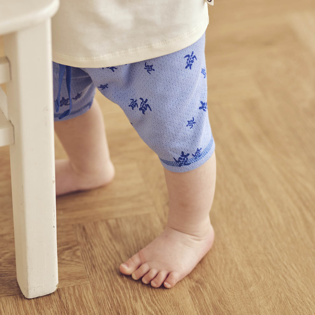 müsli TURTLE shorts med skildpadder Bukser Azure blue/ Shell blue 690000301